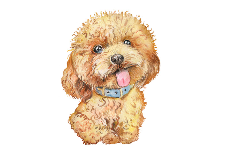 dog-watercolor-clipart-watercolor-dogs-clipart-watercolor-clipart