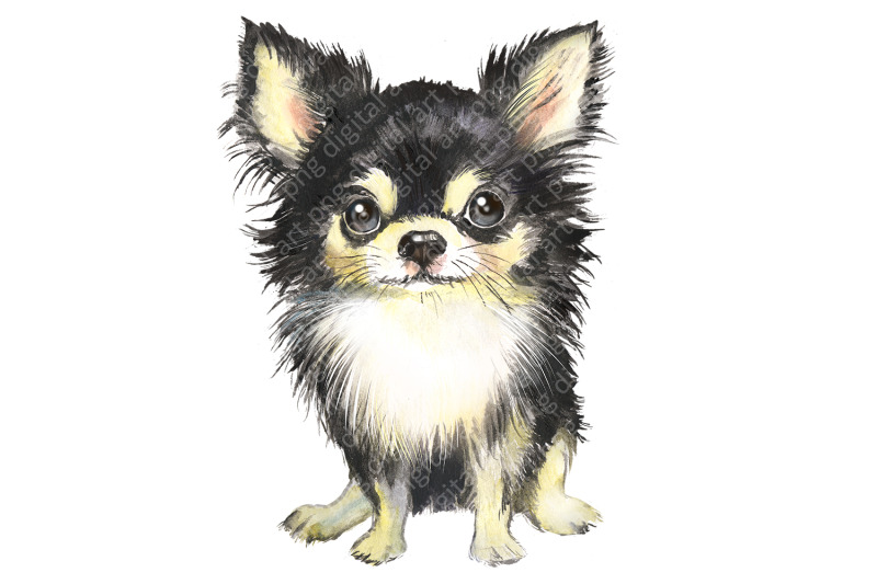 dog-watercolor-clipart-watercolor-dogs-clipart-watercolor-clipart