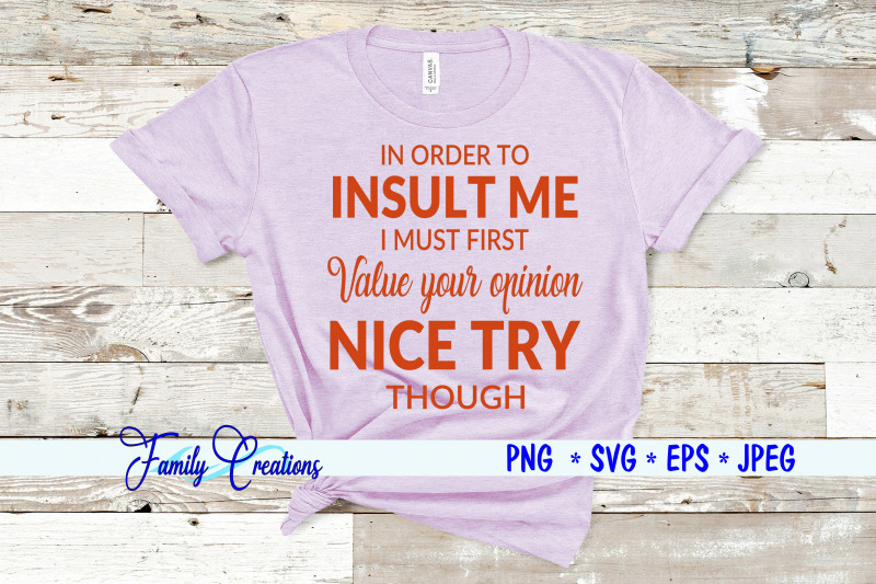 in-order-to-insult-me-i-must-first-value-you-opinion-nice-try-though