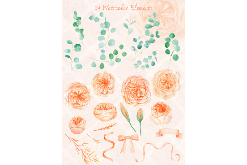 watercolor-eucalyptus-and-peach-floral-clipart