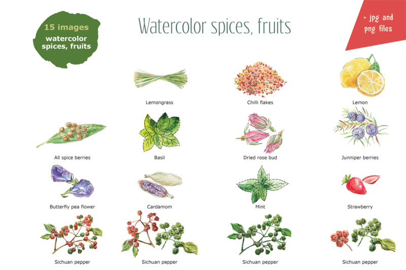 watercolor-spices-fruits-vector