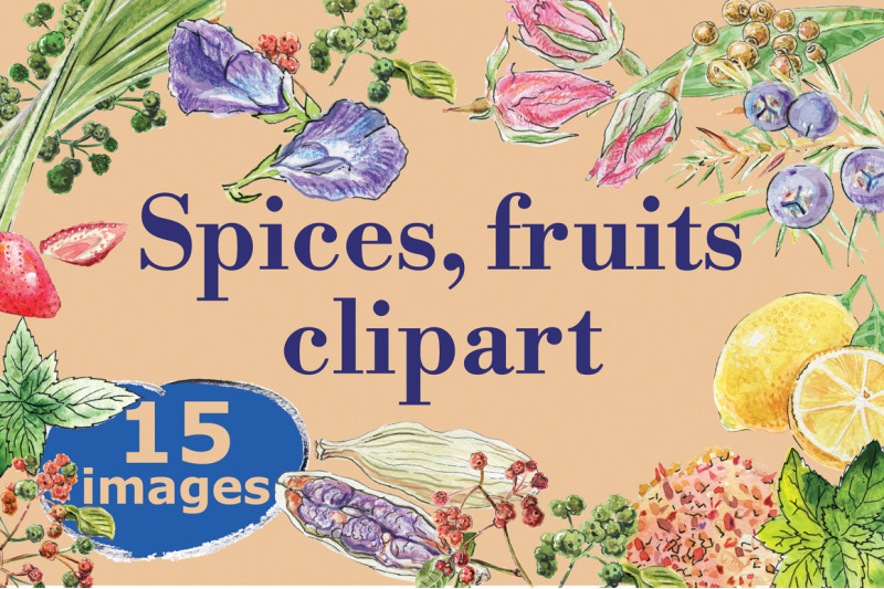 watercolor-spices-fruits-vector