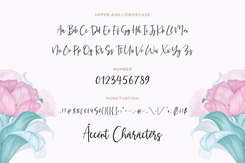 amaryllin-blossom-modern-handwritten-font