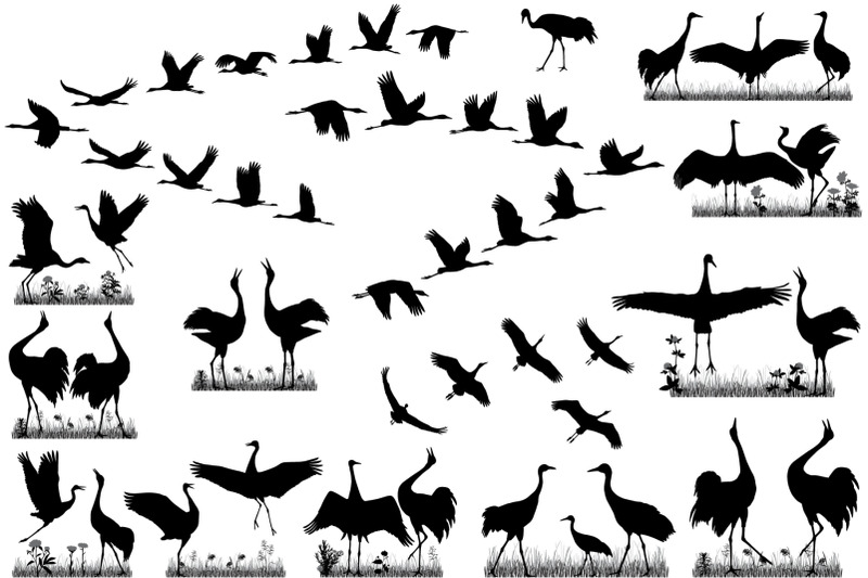 cranes-in-flight