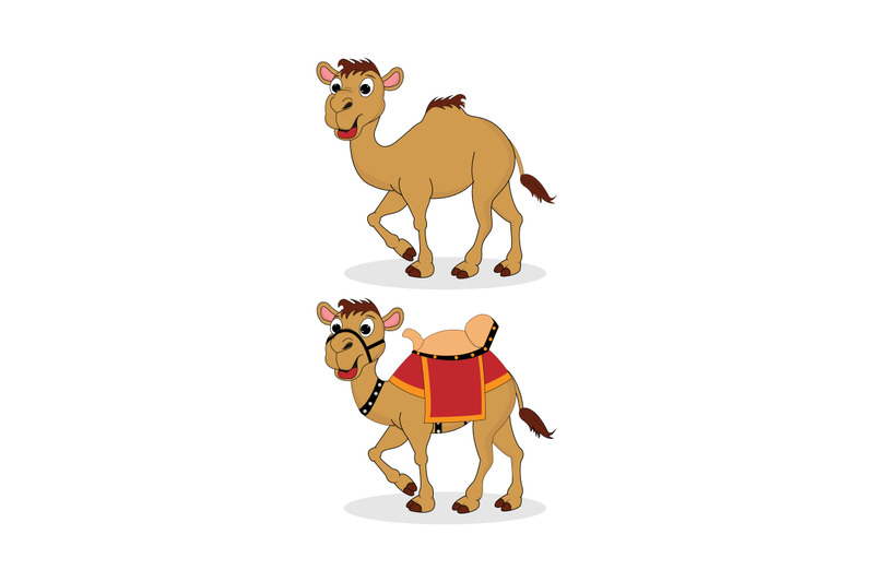 cute-camel