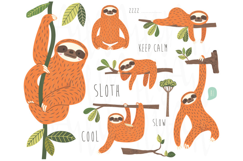 cute-sloth-hanging-on-tree-collection-set