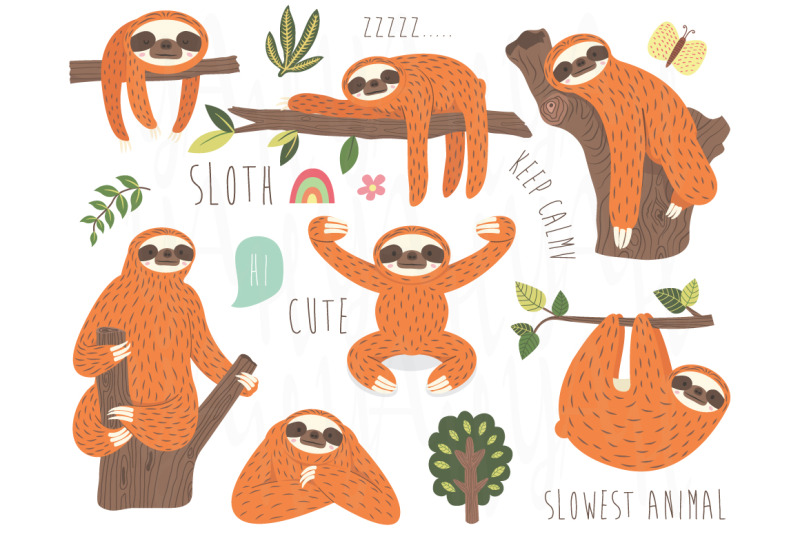 cute-sloth-vector-collection-set