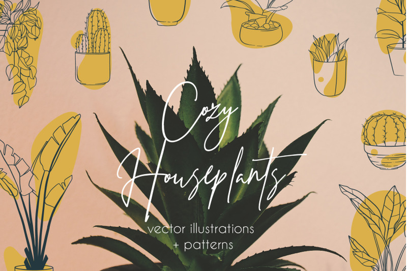 cozy-houseplants-illustrations