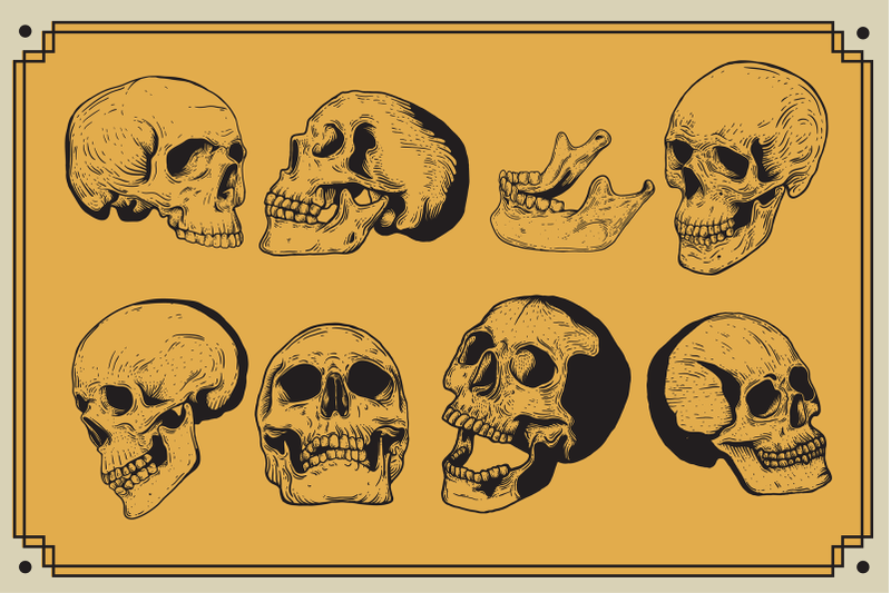 vector-skulls-vintage-illustration