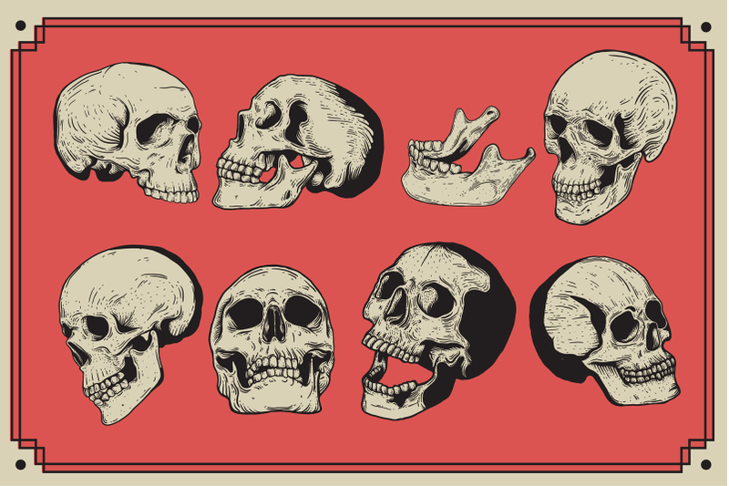 vector-skulls-vintage-illustration