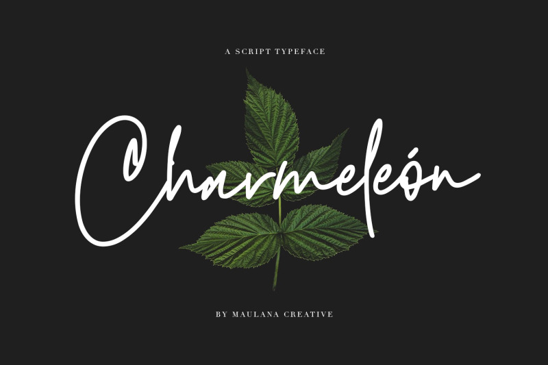 charmeleon-script-typeface