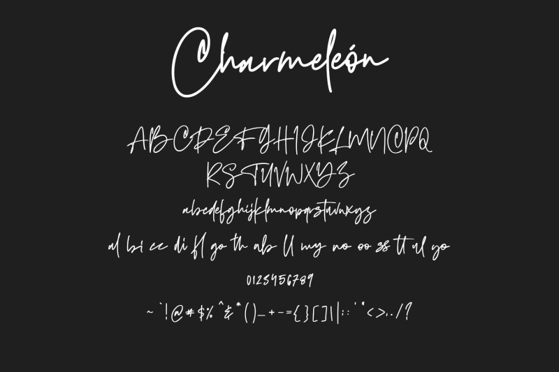 charmeleon-script-typeface