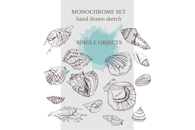hand-drawn-seashell-decor-summer-svg-bundle-line-art