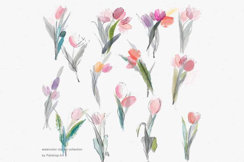 delicate-watercolor-tulip-clipart-set