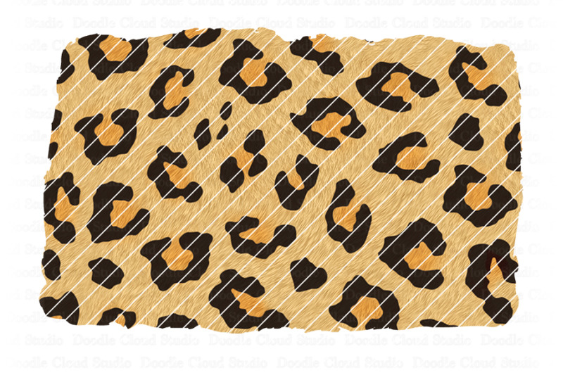 animal-background-png-print-png-design-leopard-cheetah-zebra-giraffe