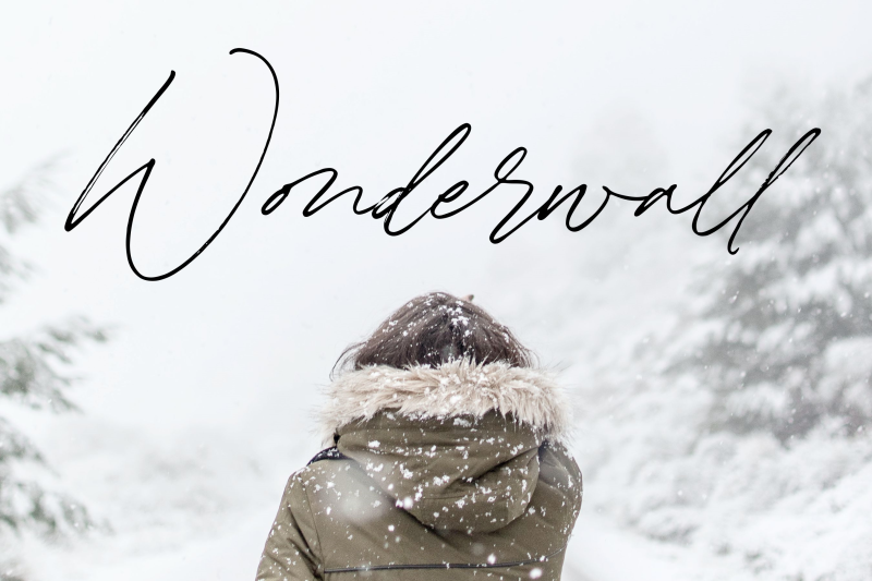 winterlady-beautiful-script-font