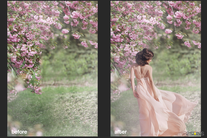 summer-backdrop-photoshop-overlay-flower-overlays-painted