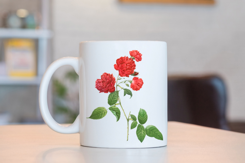 red-vintage-flowers-botanical-iliustration-vintage-rose