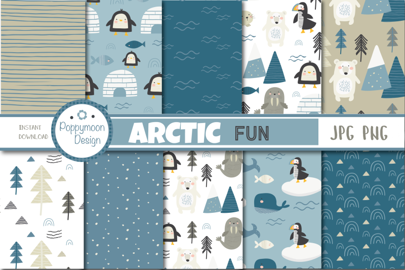 arctic-fun-paper