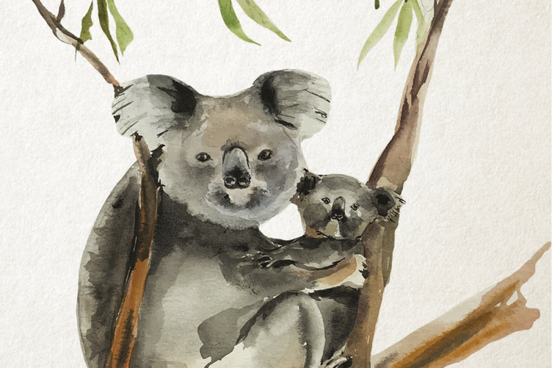 mother-and-baby-koalas-watercolor-print-and-clip-art