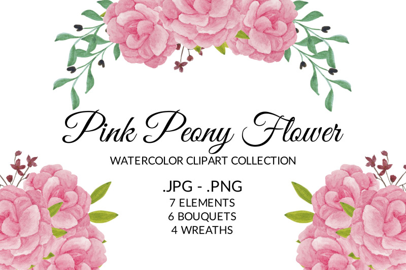 pink-peony-flower-watercolor-clipart-collection