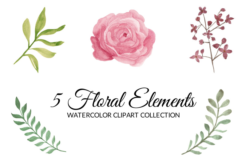 pink-rose-flower-watercolor-clipart-collection