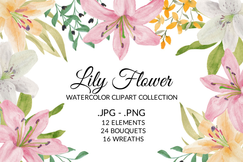 tropical-lily-flower-watercolor-clipart-collection