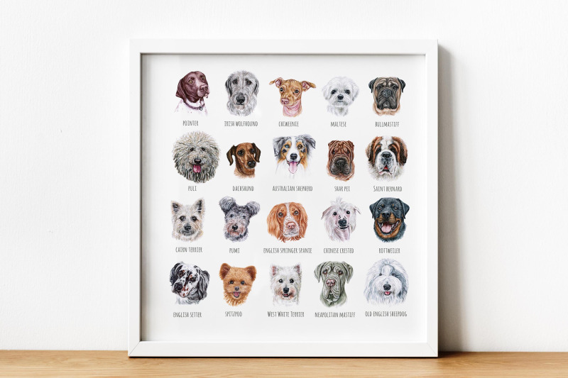 part-3-big-watercolor-illustrations-set-dog-breed-cute-20-dogs
