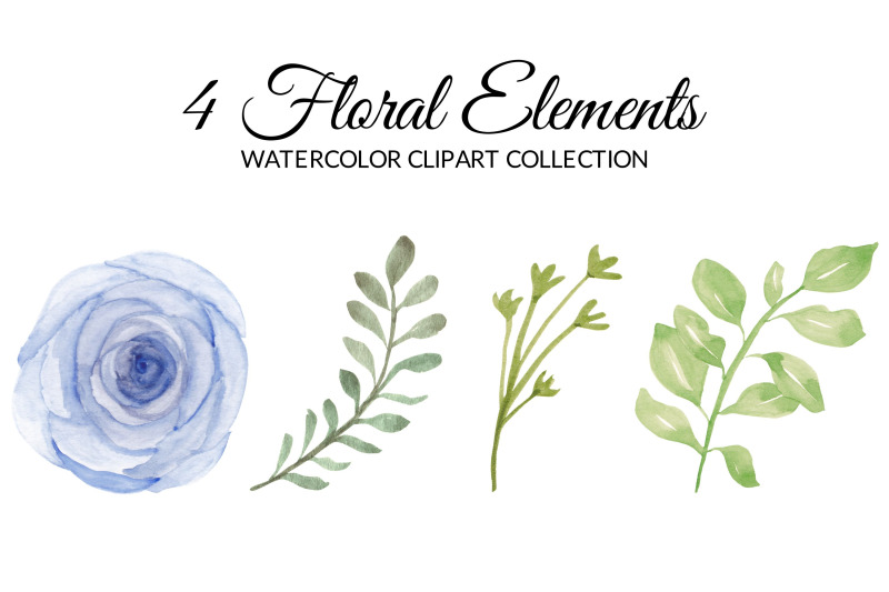 purple-rose-floral-watercolor-clipart-collection