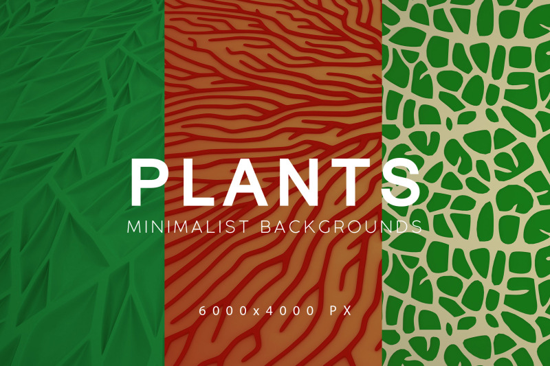 minimalist-plant-backgrounds