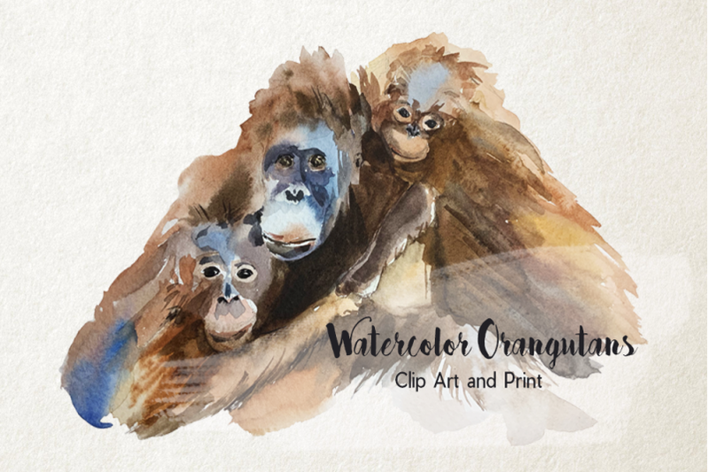 mother-and-babies-orangutans-watercolor-print-and-clip-art