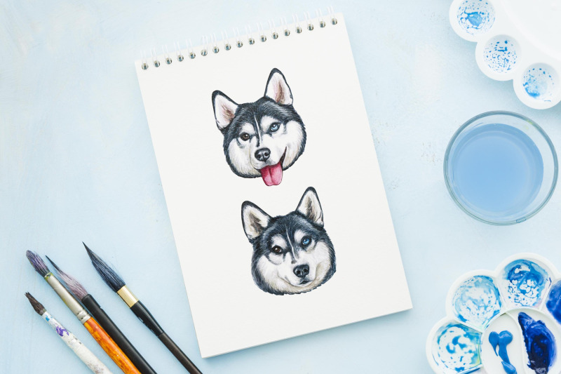 siberian-husky-watercolor-set-dog-illustrations-9-dogs
