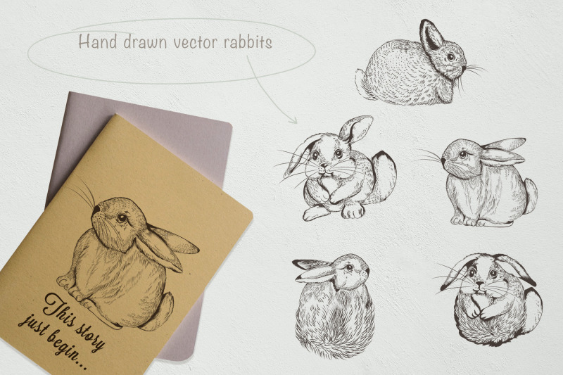 pretty-bunnies-vector-illustrations-set