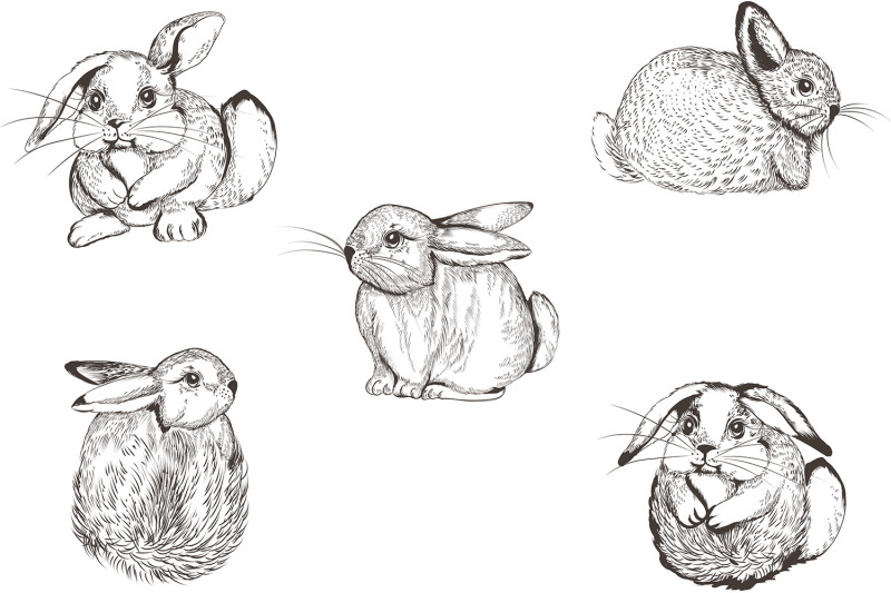 pretty-bunnies-vector-illustrations-set