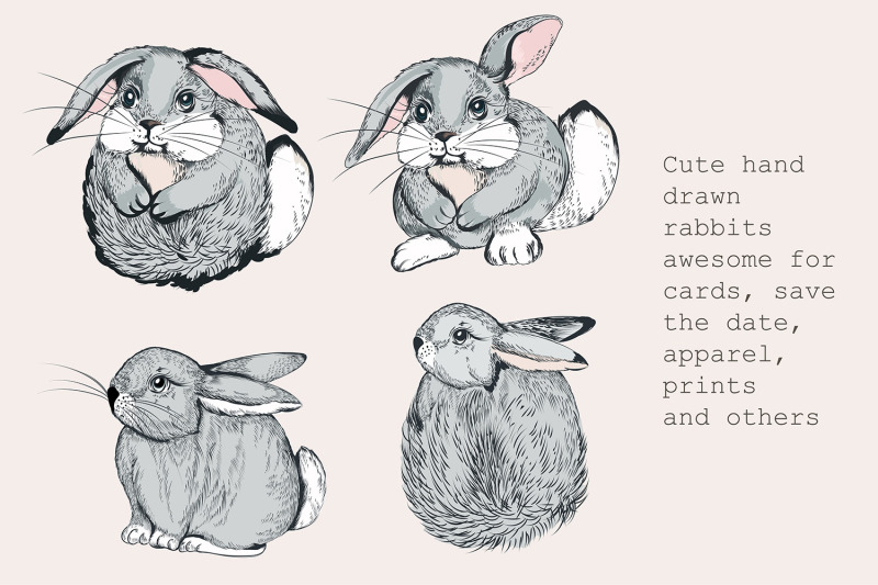 pretty-bunnies-vector-illustrations-set