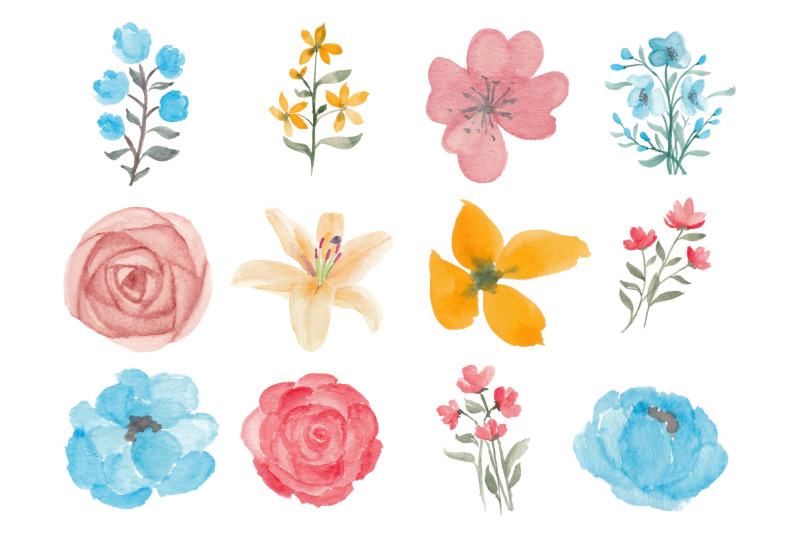 357-flower-and-floral-watercolor-illustration-clip-art