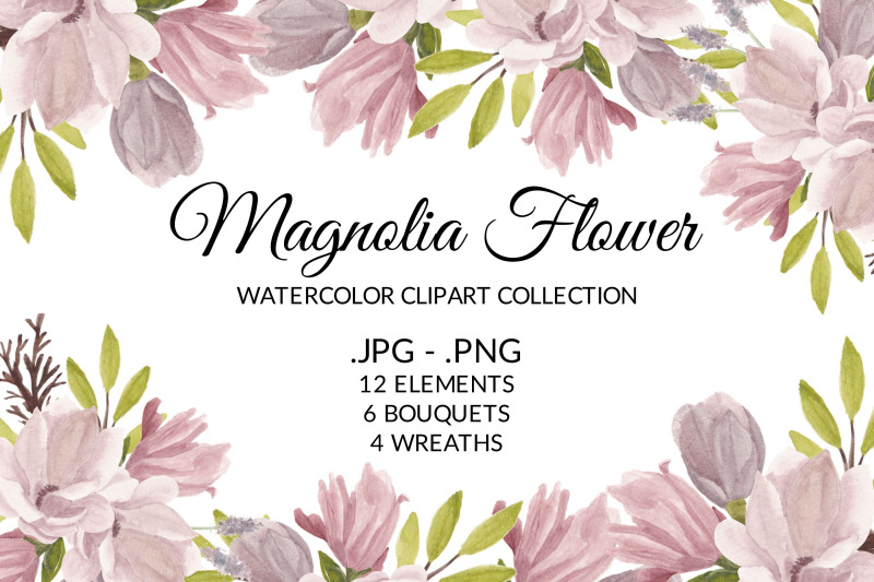 magnolia-flower-watercolor-clipart-collection