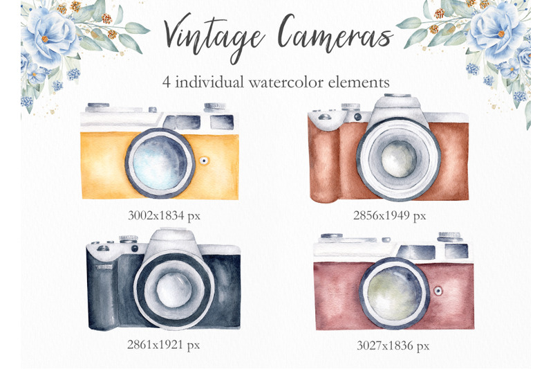 watercolor-vintage-cameras-collection