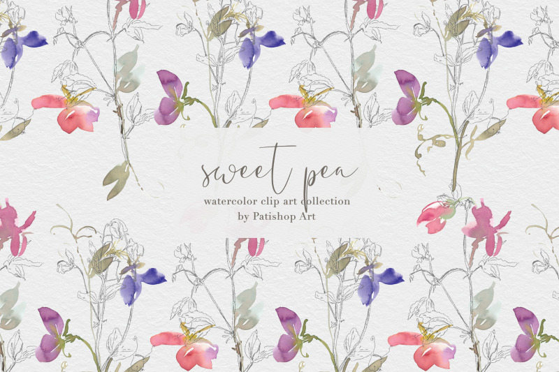 watercolor-sweet-pea-clipart-collection