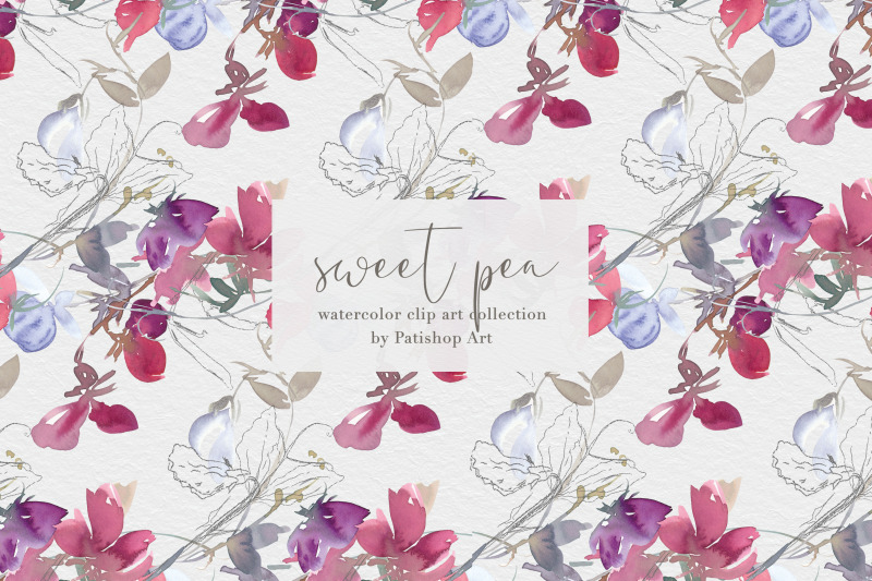 watercolor-sweet-pea-clipart-collection