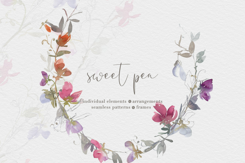 watercolor-sweet-pea-clipart-collection