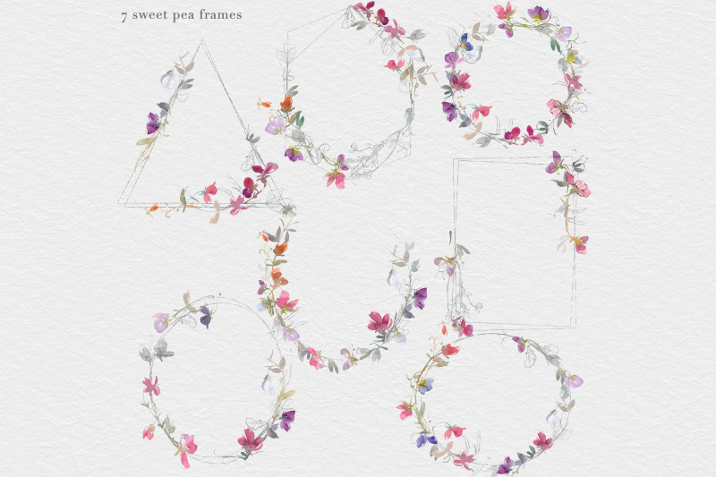 watercolor-sweet-pea-clipart-collection