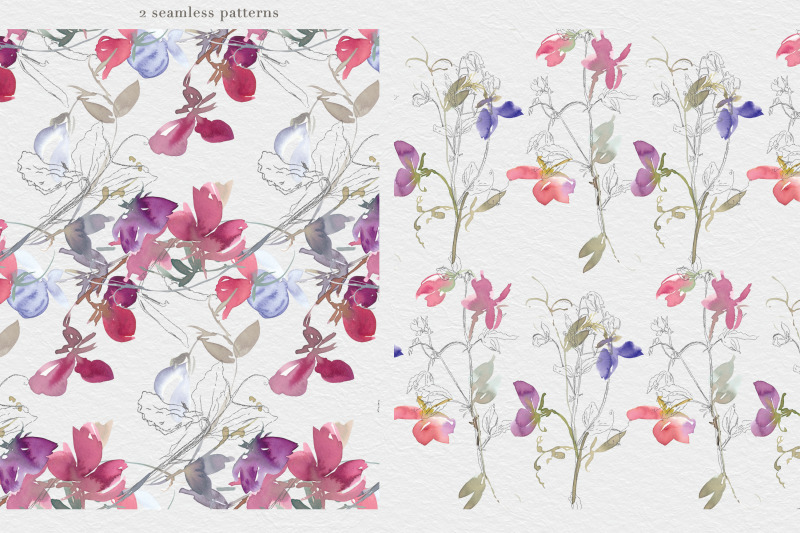 watercolor-sweet-pea-clipart-collection