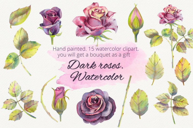 dark-roses-watercolor-clipart