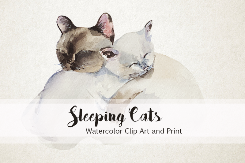 mother-and-baby-sleeping-cats-watercolor-print-amp-clip-art