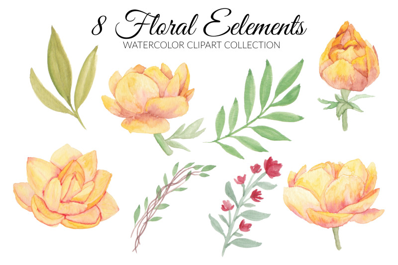 yellow-lotus-water-lily-flower-watercolor-clipart-collection