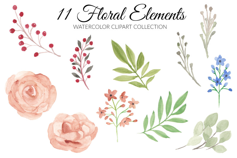 beige-rose-flower-watercolor-clipart-collection