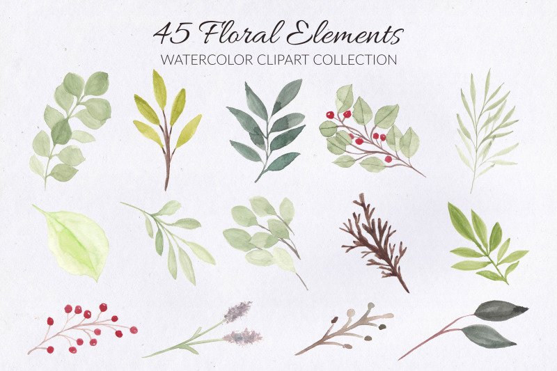 188-flower-and-floral-watercolor-illustration-clip-art