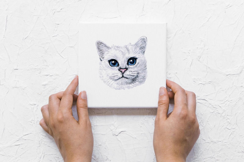 white-cat-watercolor-set-illustrations-cute-8-cats