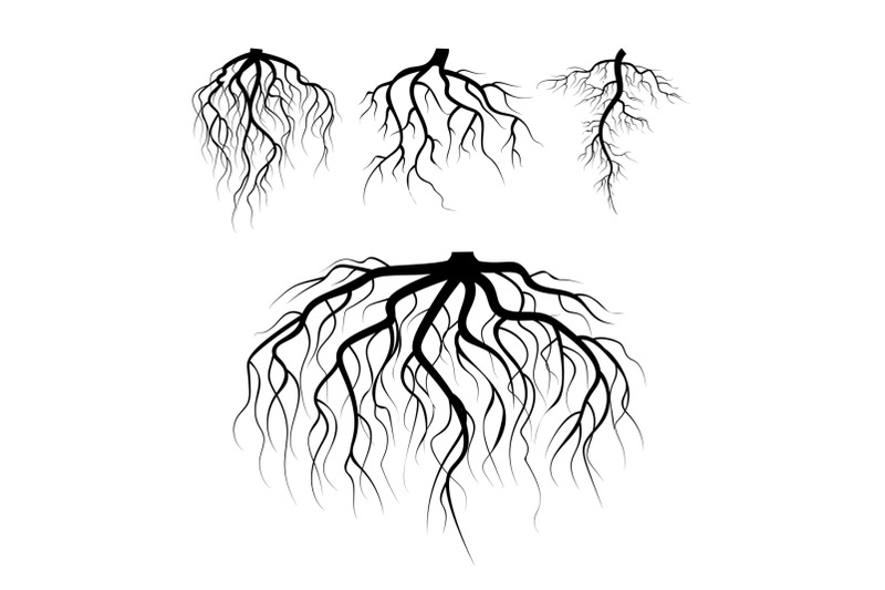 tree-underground-roots-vector-plant-underground-roots-set-tree-root-black-illustration-of-plant-silhouette-root